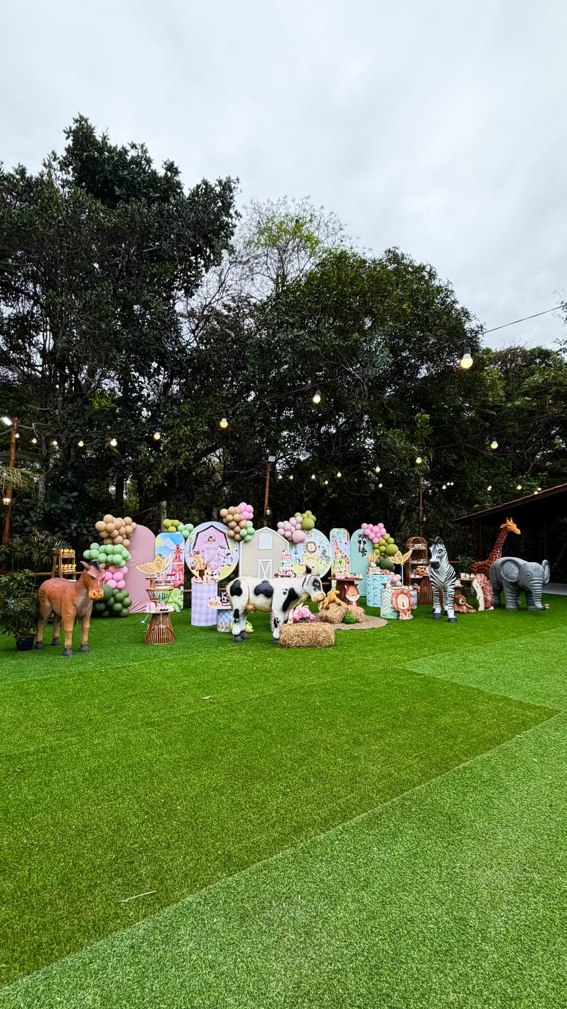 Vista aberta da festa no gramado, com os arcos de balões e o painel de cenário montados de ponta a ponta, cercados pela mata
